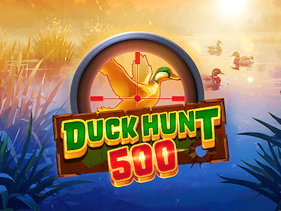 Duck Hunt 500 icon