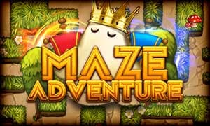 Maze Adventure icon